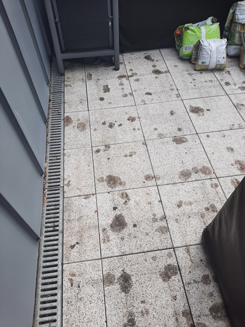 Flecken auf einer Steinoberfläche